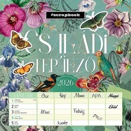 *51040 FALINAPTÁR 2026 Családi tervező Scrapbook Style Anyu tervezője Lizzy lemez 30*30cm