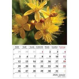 *52730 FALINAPTÁR 2026 Virágok T-Calendar 23*33cm spirálozott