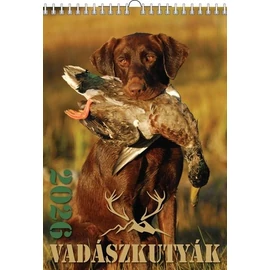 *52731 FALINAPTÁR 2026 Vadászkutyák  T-Calendar  23*33cm spirálozott