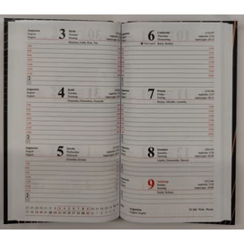 *52733 ZSEBNAPTÁR 2026 heti T-Calendar mintás álló