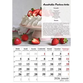 *54544 FALINAPTÁR 2026 T-Calendar A4 tűzött