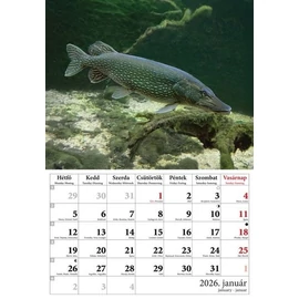 *54547 FALINAPTÁR 2026 Horgásznaptár  T-Calendar  23*33cm spirálozott