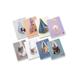 FÜZET A4 PIGNA kockás 42lap Cuccioli