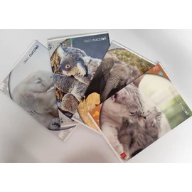 FÜZET A4 PIGNA kockás 42lap Cuccioli