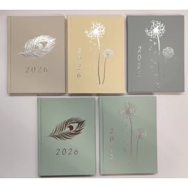 *56571 HATÁRIDŐNAPLÓ 2026 B6 heti LIV vegyes színekben