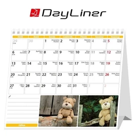 *58094 NAPTÁR asztali KÉPES 2026 Teddy álló papirtáblás Dayliner 13*15