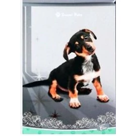 FÜZET A5 Elisa vonalas 40l Sweet Pets