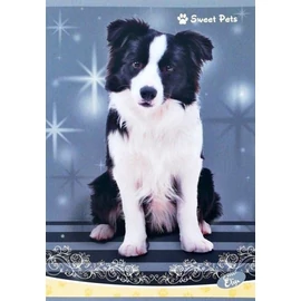 FÜZET A5 Elisa vonalas 40l Sweet Pets