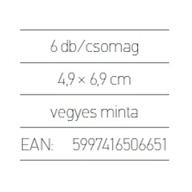 AJÁNDÉKKISÉRŐ LIZZY lakk KN  6db/csom