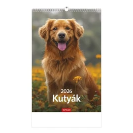 *22909 FALINAPTÁR 2026 Kutyák T094-10 spirálozott 22*33cm