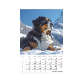 *22909 FALINAPTÁR 2026 Kutyák T094-10 spirálozott 22*33cm
