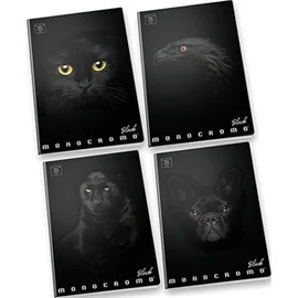 FÜZET A4 PIGNA vonalas 38lap Monocromo Black