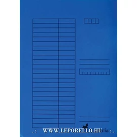 GYORSFŰZŐ A4 színes INTENZIV