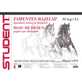 RAJZTÖMB/Skiccfüzet A3 famentes fekvő Student