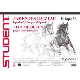 RAJZTÖMB/Skiccfüzet A3 famentes fekvő Student