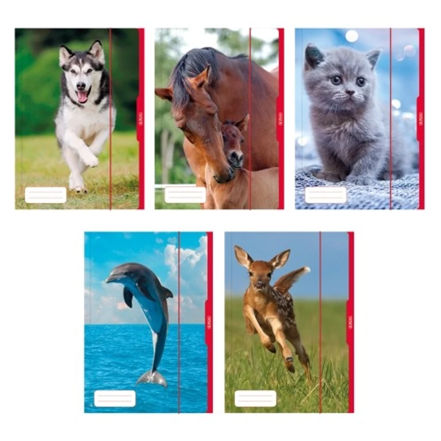 GUMIS DOSSZIÉ A3 HERLITZ vékony rajztartó