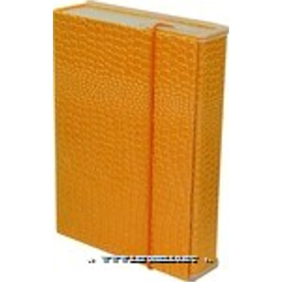 FÜZETBOX A5 CAM krokodilbőr mintás