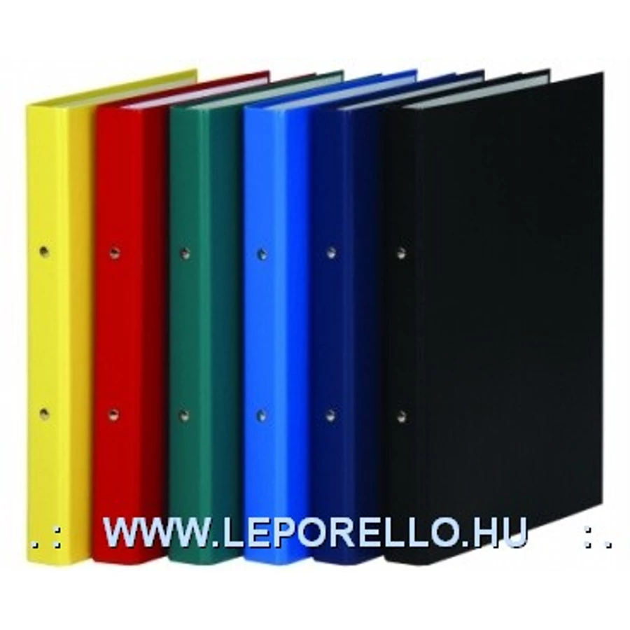 *01137 GYŰRŰSKÖNYV A4 2 RING PAPIR  DD3732