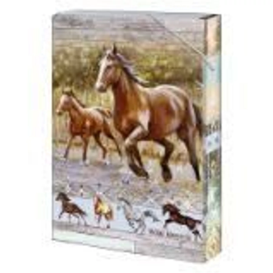 *05133 FÜZETBOX A5 ARGUS vegyes minták 1241-03..