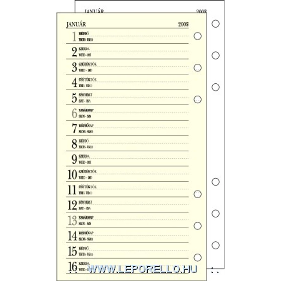 *07732 NAPTÁR betét SATURNUS-L311 éves chamois áttkintő+havi ter.+heti terv.+info