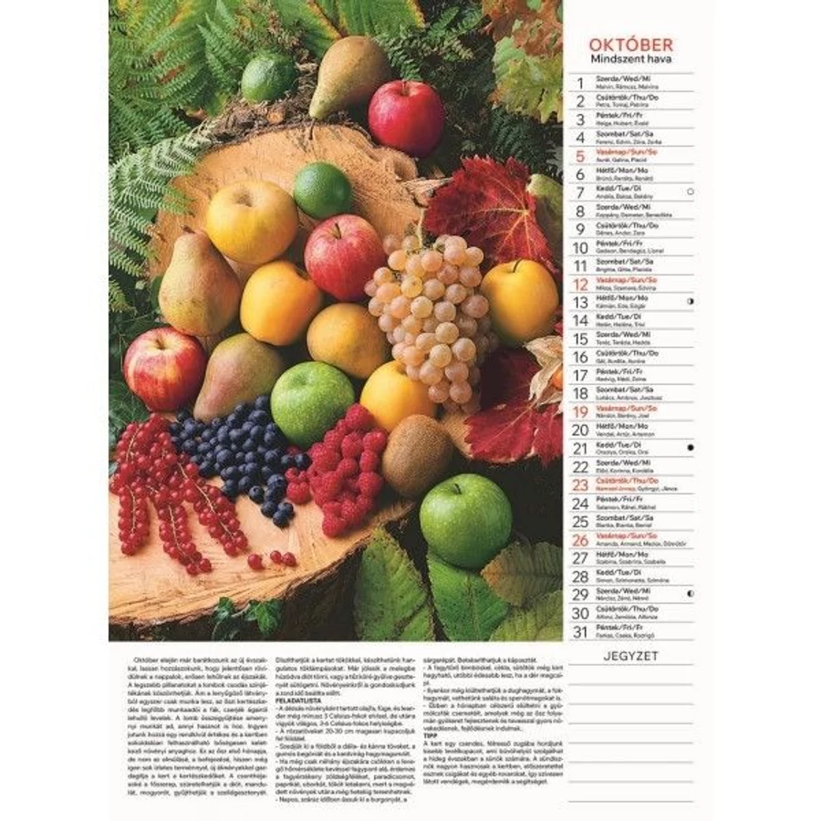 *09593 FALINAPTÁR 2025 Kertésznaptár T093-17  31*42cm