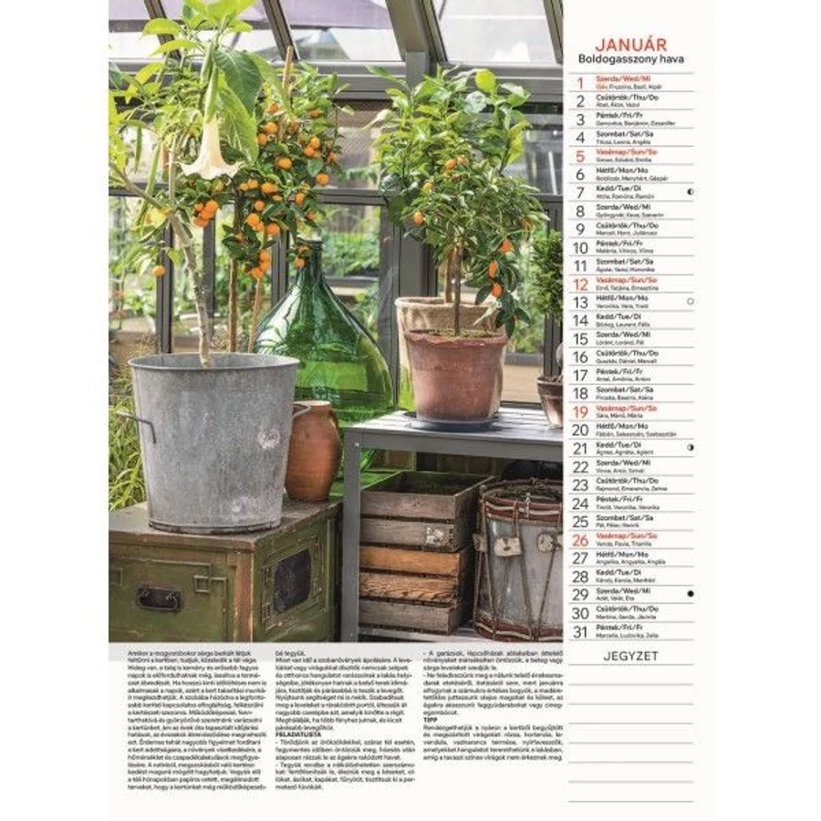 *09593 FALINAPTÁR 2025 Kertésznaptár T093-17  31*42cm