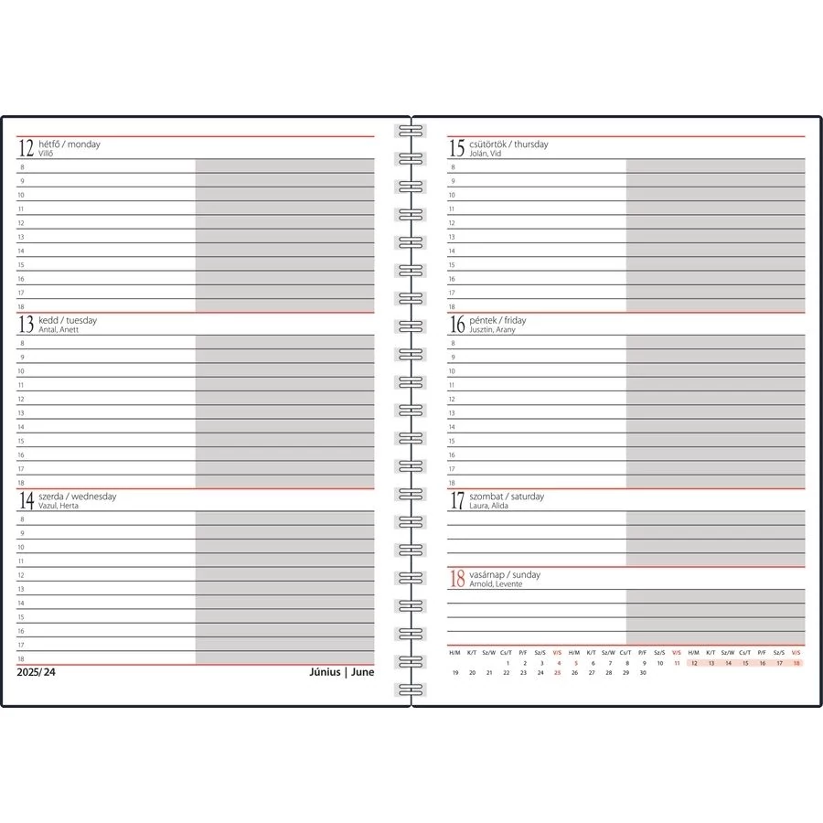 *11583 ZSEBNAPTÁR 2025 heti álló Realsystem-8311 SP1 spirál A5