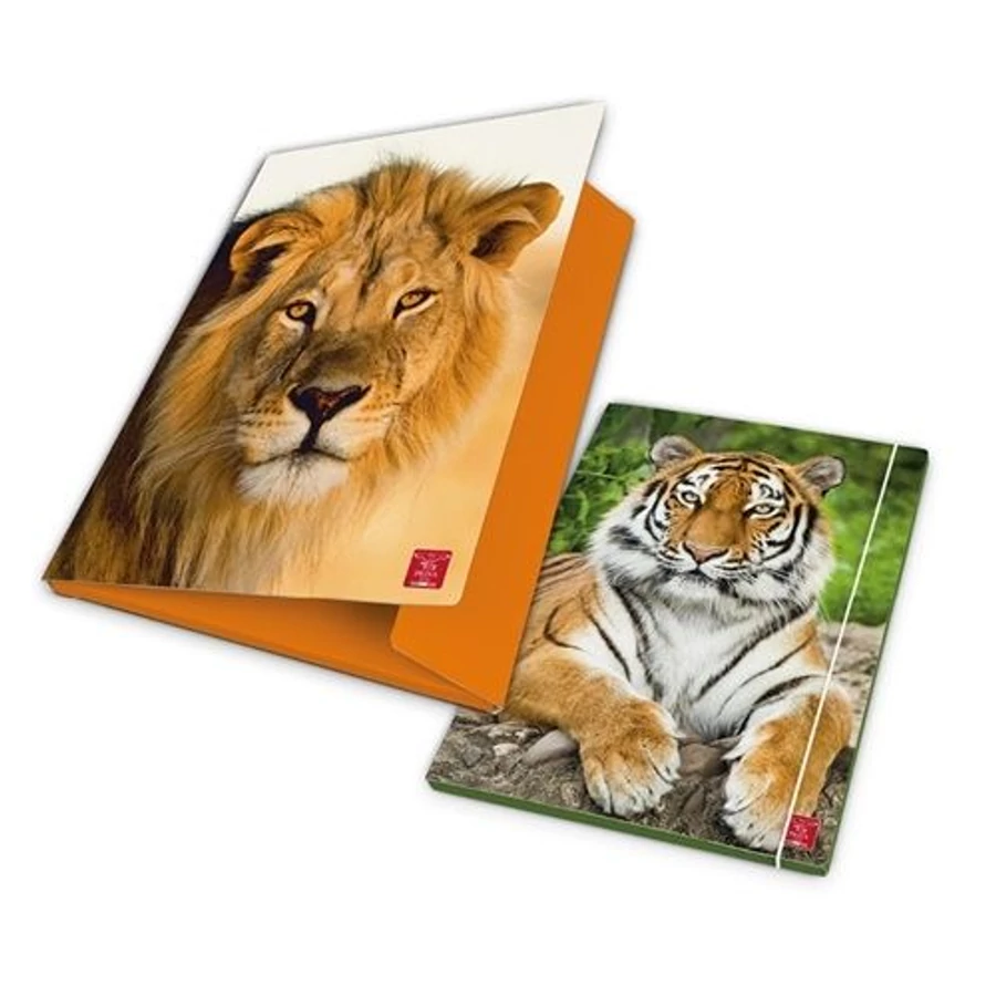 *18139 GUMIS DOSSZIÉ A4 PIGNA 1cm  Animál World  218492