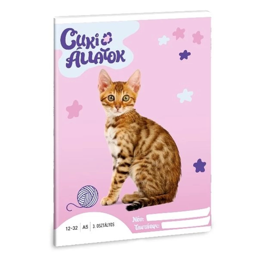 *18355 FÜZET A5 ARS UNA 3.oszt 12-32 vegyes minta