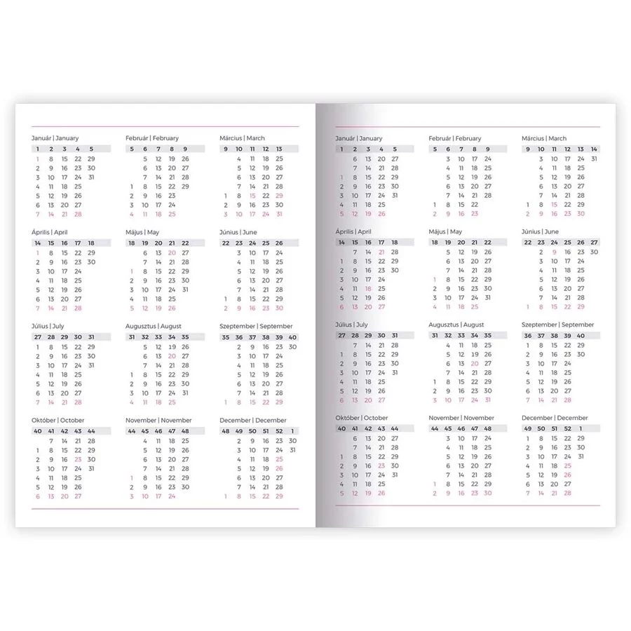 HATÁRIDŐNAPLÓ 2026 A5 napi Lizzy 14.8*21cm