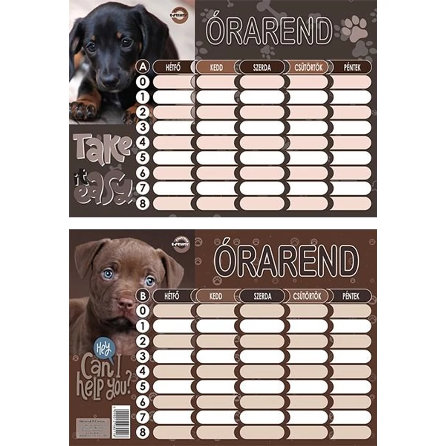 *22344 ÓRAREND T-Crea nagy