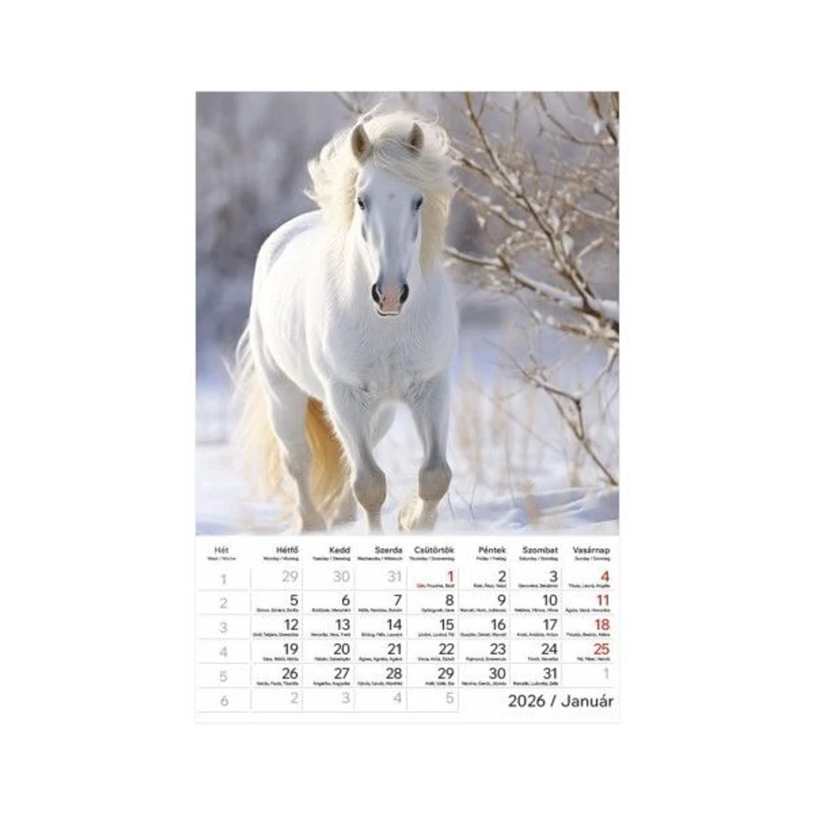 *24868 FALINAPTÁR 2026 Lovak T094-07 spirálozott  22*33cm