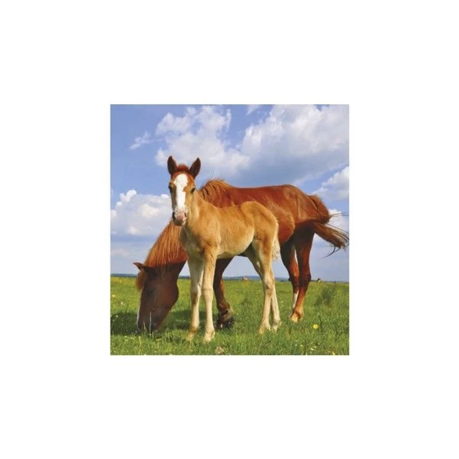 *24868 FALINAPTÁR 2026 Lovak T094-07 spirálozott  22*33cm
