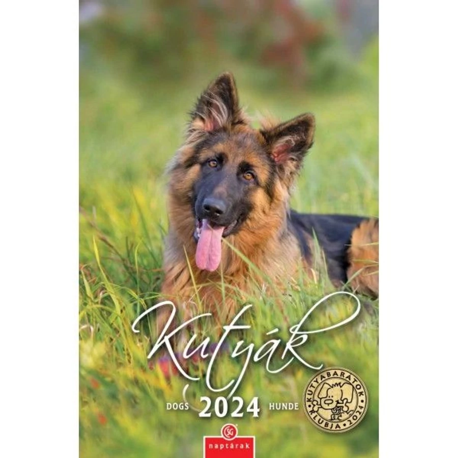 *24871 FALINAPTÁR 2024 Kutyák spirálozott CSG FN098  21*32cm
