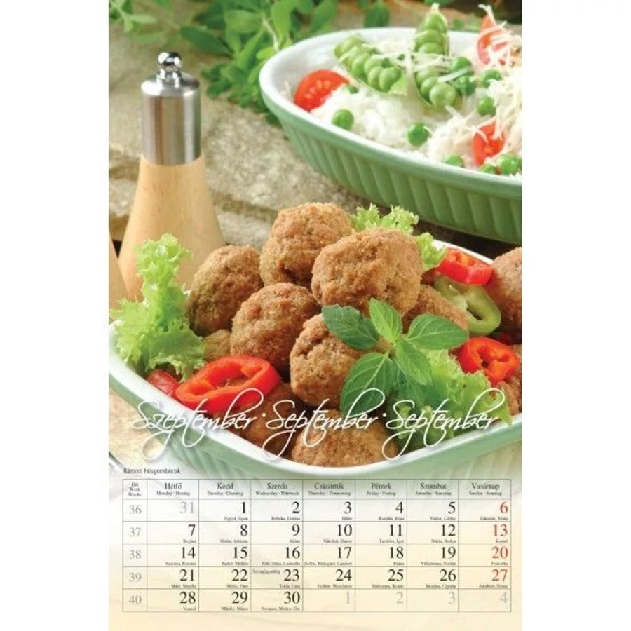 *24872 FALINAPTÁR 2026 recept Süssünk-főzzünk CSG spirálozott FN 090  21*32cm