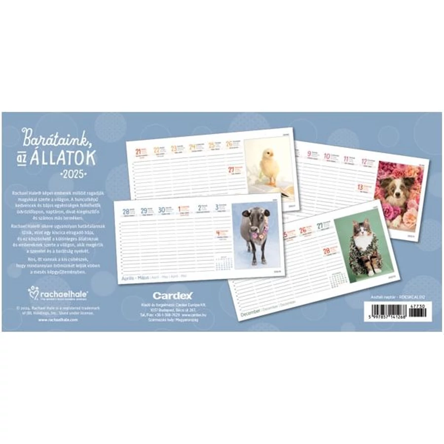*30112 NAPTÁR asztali KÉPES 2025 Cardex Fűszerek, Barátaink az állatok, Csod. természet,