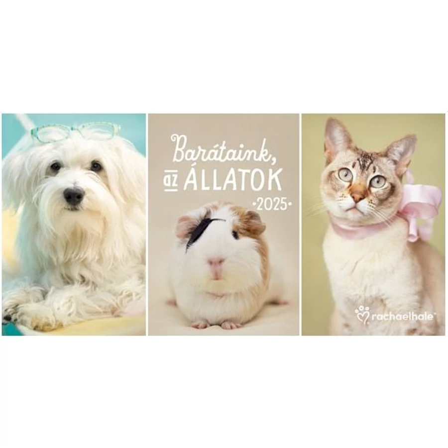 *30112 NAPTÁR asztali KÉPES 2025 Cardex Fűszerek, Barátaink az állatok, Csod. természet,