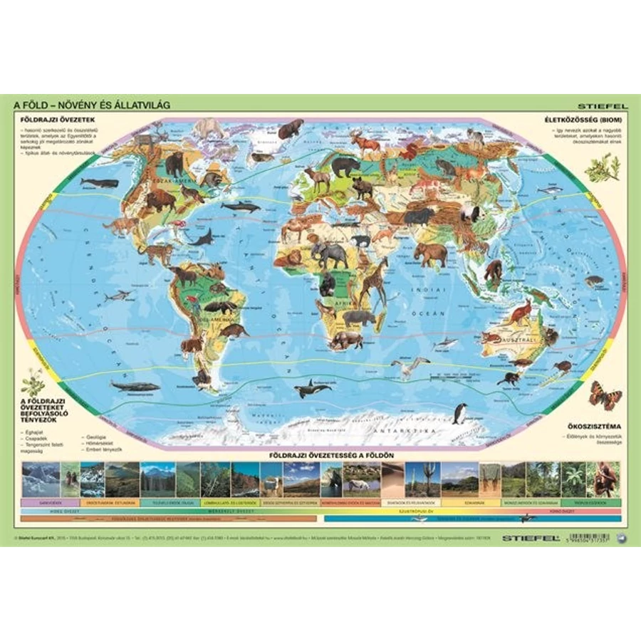 *31731 ASZTALI könyökalátét STIEFEL duó