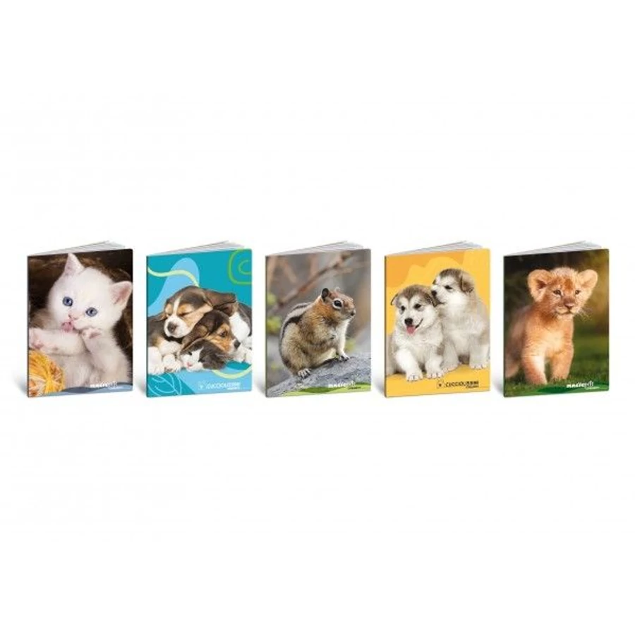 *32553 FÜZET A5 BLASETTI sima 42l 80gr vegyes minta