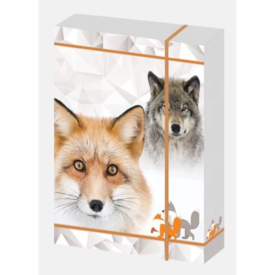 *32579 FÜZETBOX A5 CONCARD