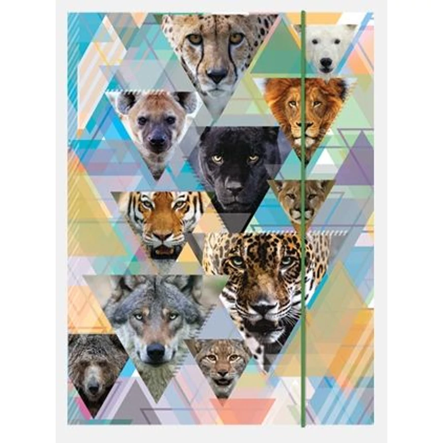 *35429 GUMIS DOSSZIÉ A5 CONCARD