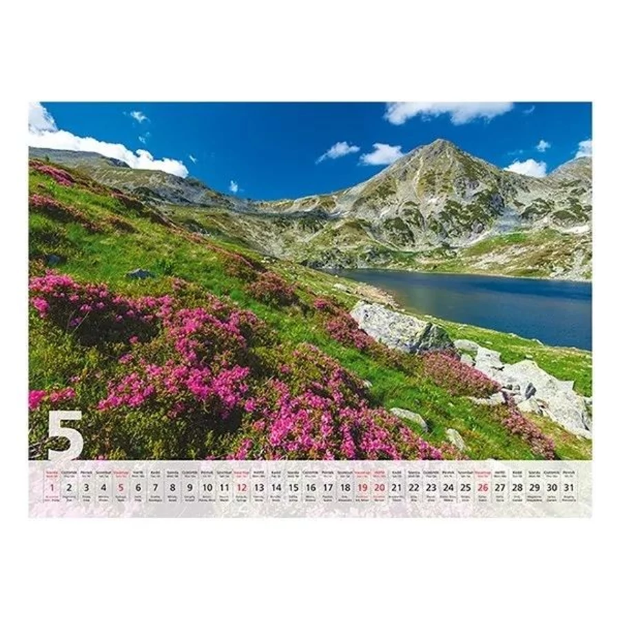 *36024 FALINAPTÁR 2024 táj Varázslatos tájakon T093-10  42*31cm