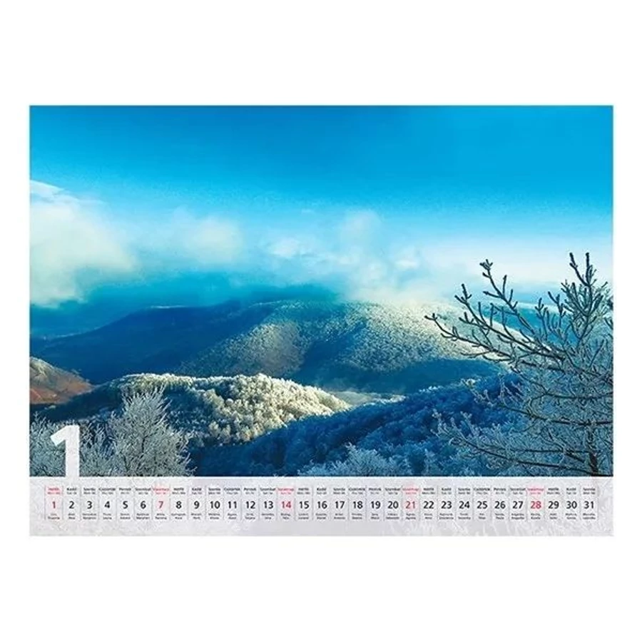 *36024 FALINAPTÁR 2024 táj Varázslatos tájakon T093-10  42*31cm