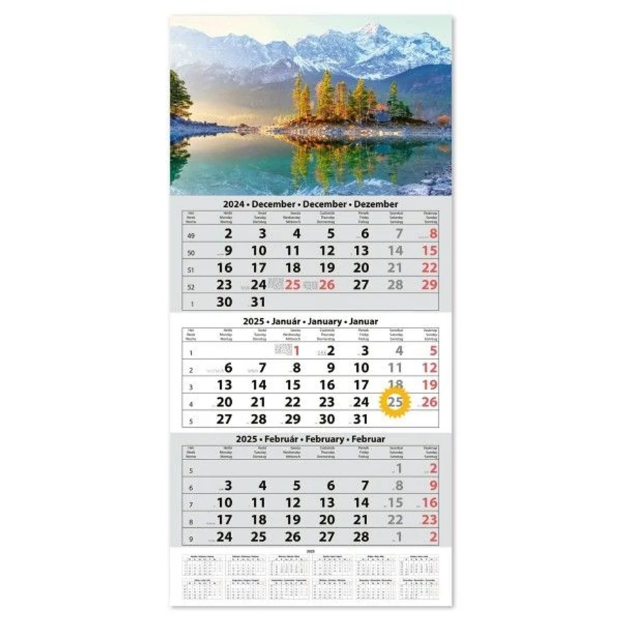 *36482 FALINAPTÁR SPEDÍTŐR 2025 Dayliner SP1 egytömbös, 3 hónapos képes