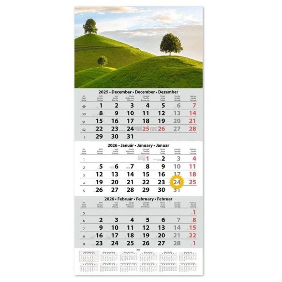 *36482 FALINAPTÁR SPEDÍTŐR 2026 Dayliner SP1 egytömbös, 3 hónapos képes