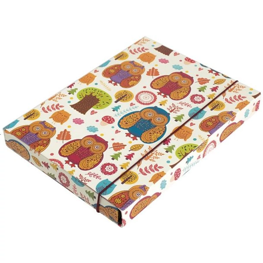 *37485 FÜZETBOX A4 LAU színes, mintás