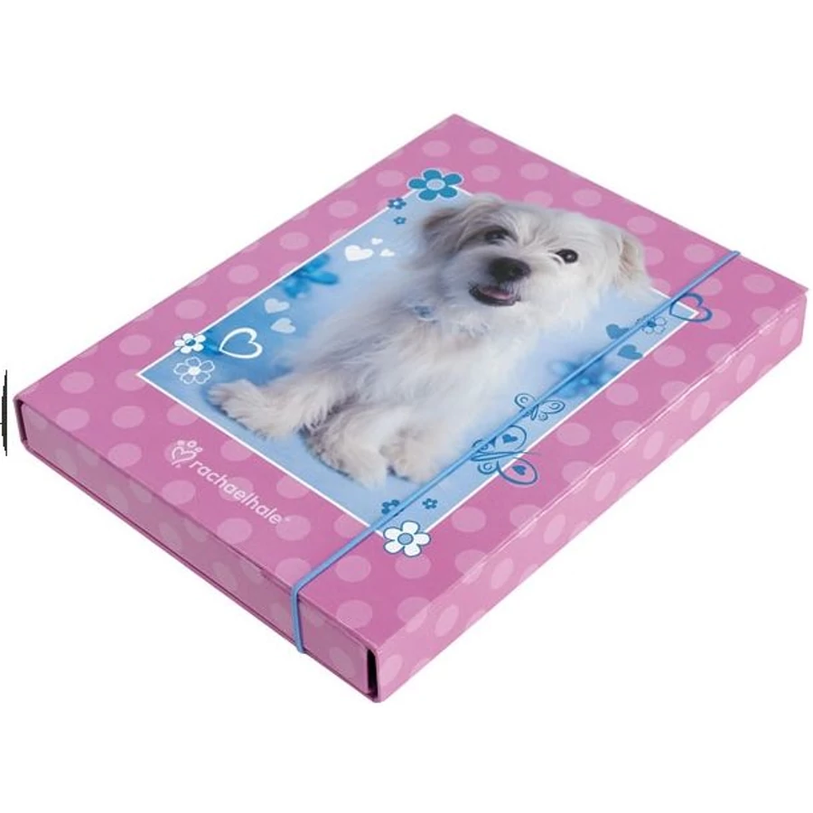 *37485 FÜZETBOX A4 LAU színes, mintás