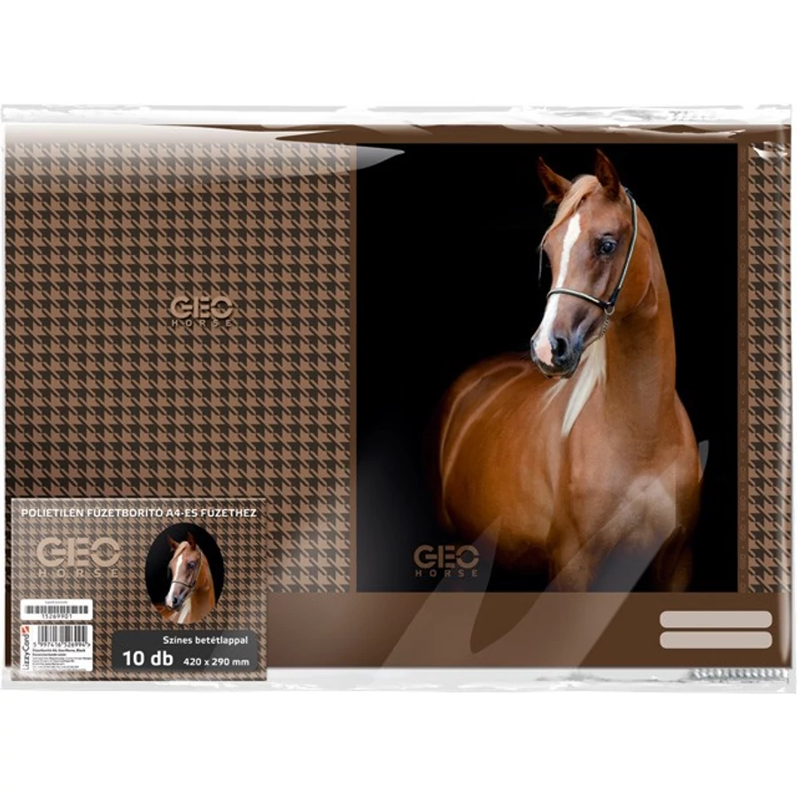 *38376 FÜZETBORÍTÓ A4 LIZZY  mintás*