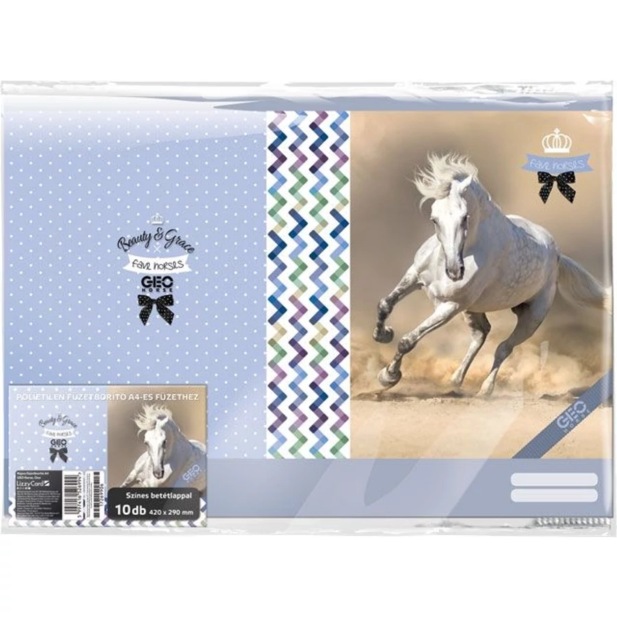 *38376 FÜZETBORÍTÓ A4 LIZZY  mintás*