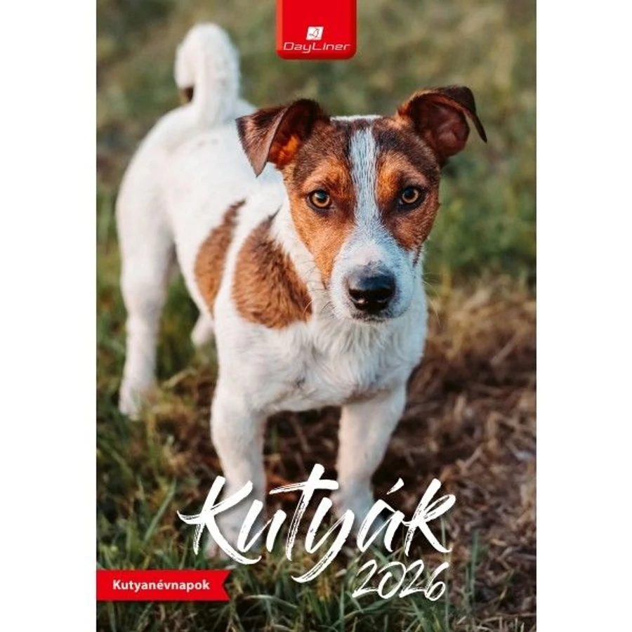 *38813 FALINAPTÁR 2026 Kutyák Dayliner spirálozott  FA-KU-B4  23*33cm